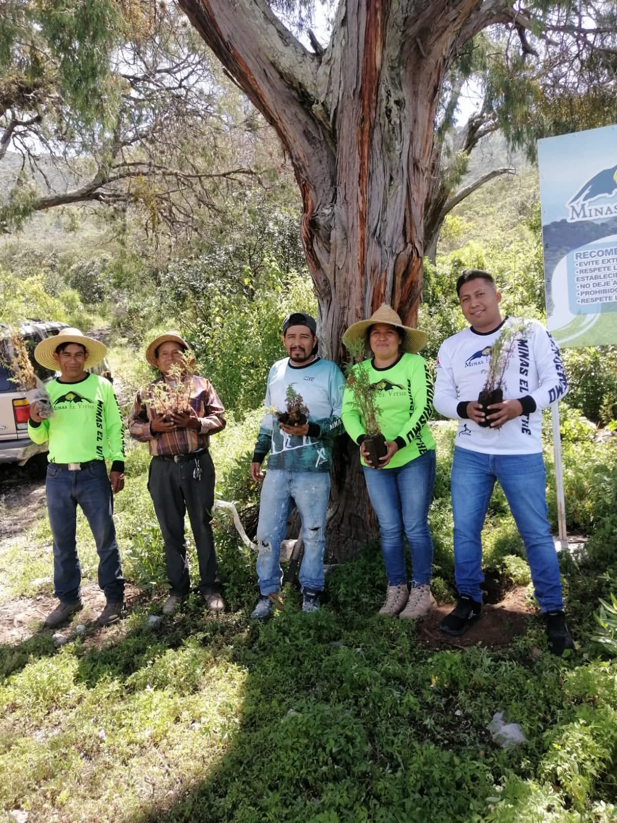 Actividad 33