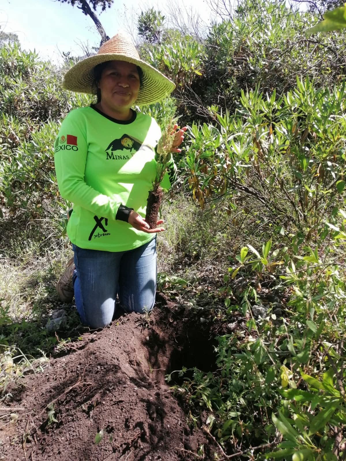 Actividad 33